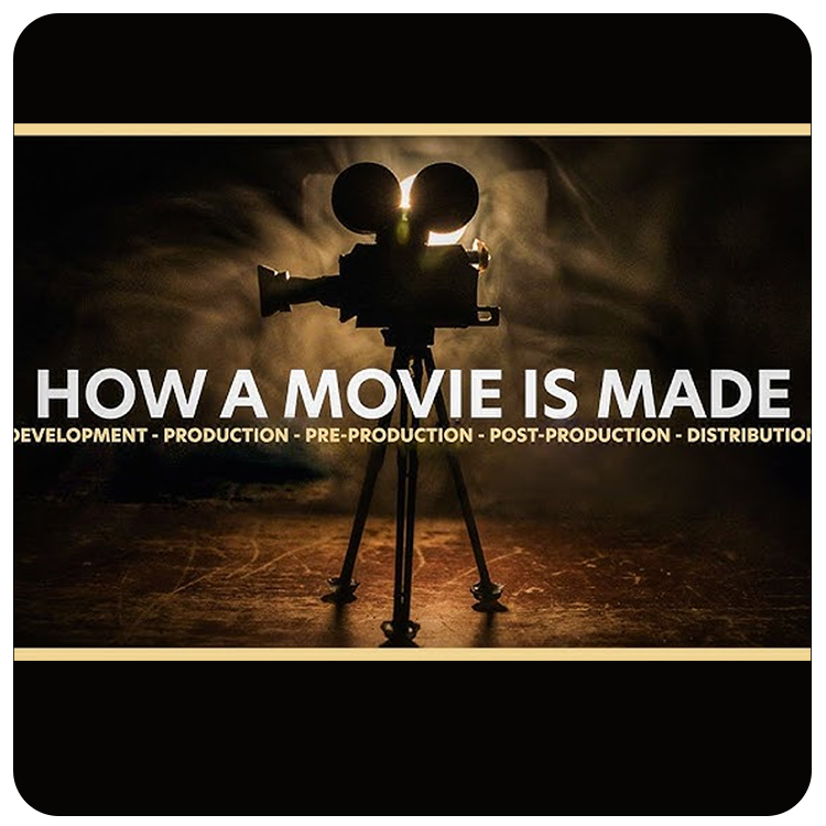 PROFESSIONAL FILM PLANS (?1.5 Lakh – ?3 Lakh)